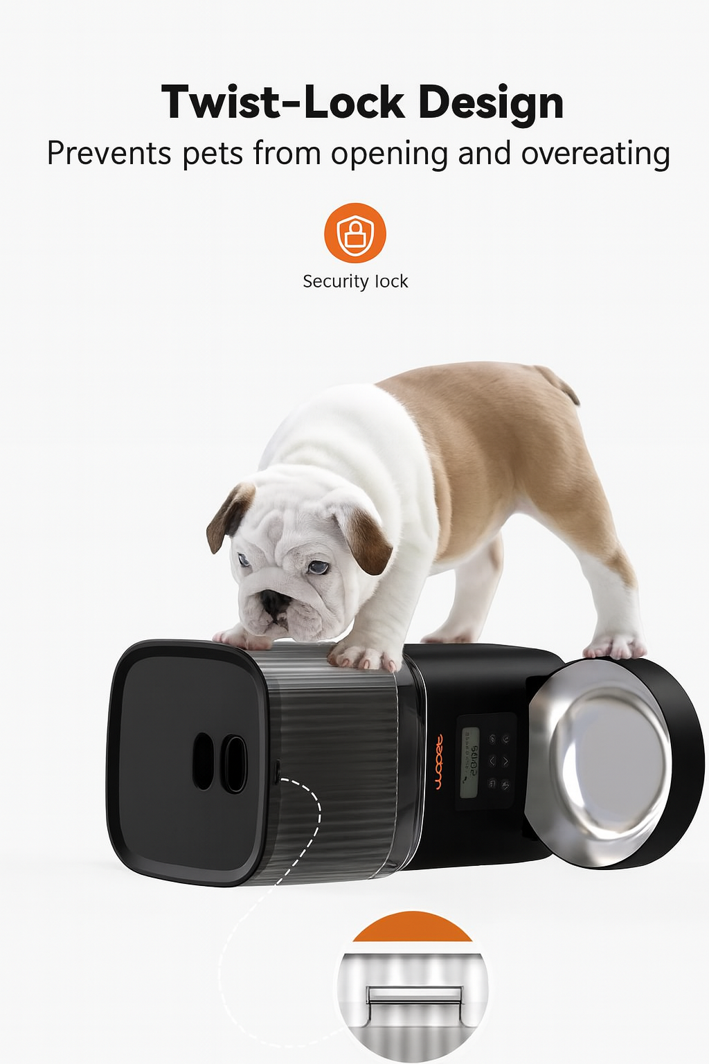 Automatic Dog and Cat Feeder